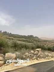  7 ارض زراعيه للبيع في اجمل مناطق العالوك