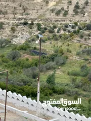  4 استراحة استثماريه للبيع مطله على وادي الريان قوشان مستقل 3،5 دونم مشجرة بالكامل مع مواقف سيارات