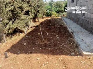  22 منزل دوبلكس للبيع مع مزرعه  شجر مزروع مثمرعدد 25 و شجر زينه 25 كرفان 70م يحتوي على مطبخ حمام وصاله