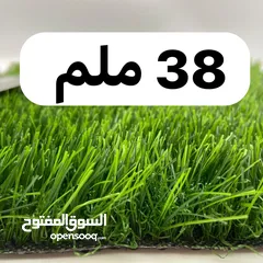  1 مشتل الجوري لتصميم وتنسيق الحدائق