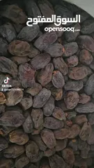  3 تمر مجهول للبيع بسعر الجمله