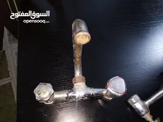  6 شغل مطير عصافير