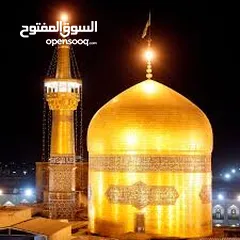 2 مترجم . سائق