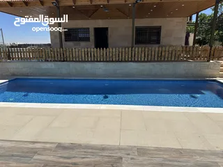  2 مزرعة وشاليه جنة النعيم طريق المطار للايجار اليومي
