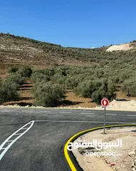  1 ارض كوشان طابو