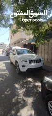  1 جيب فل كرتونه
