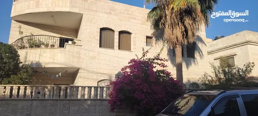  7 ؛شقه مستقله للاجار الزرقا الجديده شارع الفلاتر شارع البتراوي خلف مسجد عمر بن العاص