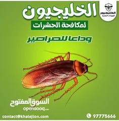  6 شركه الخليجيون مكافحة حشرات والقوارض