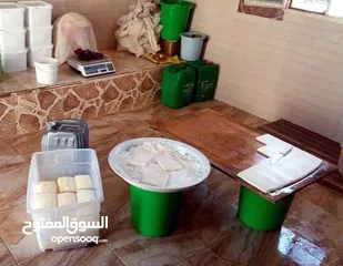  2 مطلوب شريك ممول لمعمل اجبان  يعمل بشكل جيد