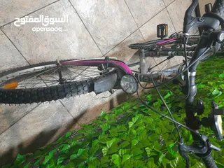  7 بسكليت جبلي جنط 26 التواصل ع الواتس