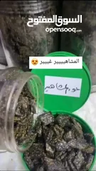  8 عود و دخون و عطور