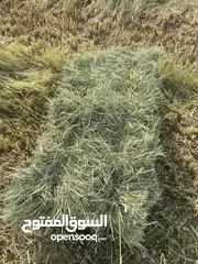  4 حشيش ناعم وربط كبار للبيع