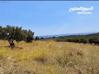  2 Land near to seaside with stunning view in a great nature green and blue together