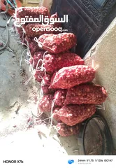 1 بصل  مواني احمر حبة وسط ممتاز بجودة عالية