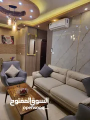  24 شقه مفروشه اربد خلف كارفور