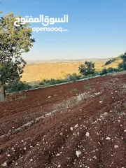  2 أرض مميزه _الصبيحي _ بيوضه الشماليه