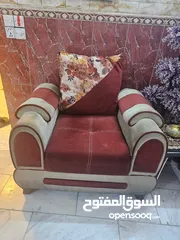  2 تخم قنفات للبيع