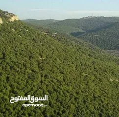  4 ارض في منطقه عجلون تصلح للزراعه والسياحه وبنا عمار  ومنطقه جميله ومرتفعه