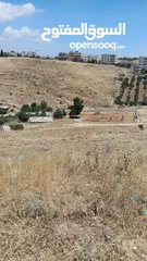  1 ارض سكنيه للبيع - السرو -حوض البشيري - خلف جامعة عمان الأهليه -منطقة جميلة