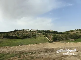  29 غرب سوف سهلات الغربيه قرب قصر السفير الاماراتي منطقه فلل و مزارع راقيه