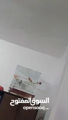  24 جوز كنار نحاسيات نار