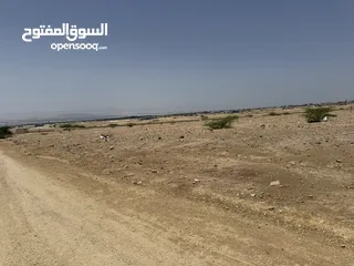  6 للبيع ارض في منطقة البحر الميت
