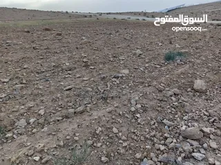  4 ارض للبيع طريق 100 بسعر مغري جداً
