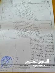  1 أرض للبيع في شفا بدران قرية زينات الربوع