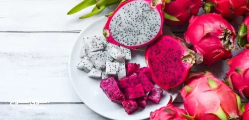  1 شتل فاكهه التنين