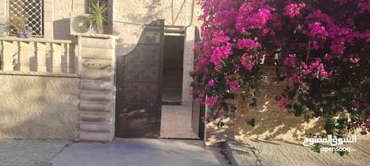  2 ؛شقه مستقله للاجار الزرقا الجديده شارع الفلاتر شارع البتراوي خلف مسجد عمر بن العاص
