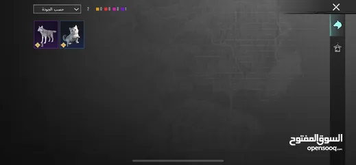  28 حساب ببجي حلو