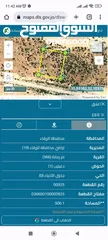  3 ارض في ام رمانة 500م حوض دغيليب