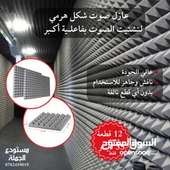  2 عازل صوت مايكرفون احترافي