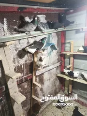  5 حمام بيع مستعجل للبيع