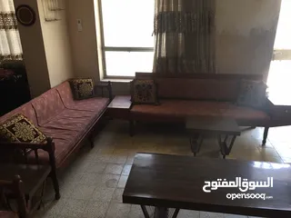  2 تخم عربي للبيع