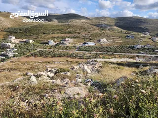  4 ارض في موقع جميل من اراضي بيت امرين (طايو)