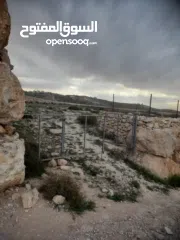  9 1800 م ارض طابو A الخليل دورا  خرسه