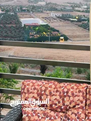  11 مزرعه اللؤلؤه