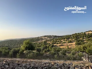  17 مزرعه للبيع / عجلون / رأس منيف