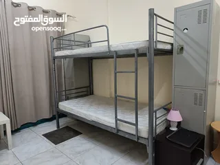  6 Executive Bed space Near Border in Al Nahda