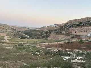  5 ارض في دورا منطقة الصرة تصنيف A طابو