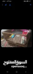  5 مستلزمات اطفال