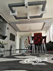  3 روف فخم، مستقل و مفروش بالكامل للايجار. إقرأ تفاصيل الإعلان كاملة لطفا furnished roof top for rent