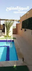  19 شاليه للايجار منطقه مطله جبل الروضه مطل ع البحر الميت وجبال فلسطين مسبح مغطى من اشعه الشمس