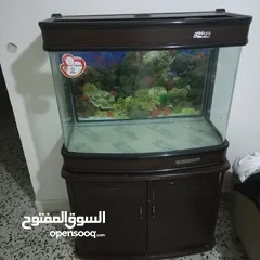  1 حوض سمك مستعمل