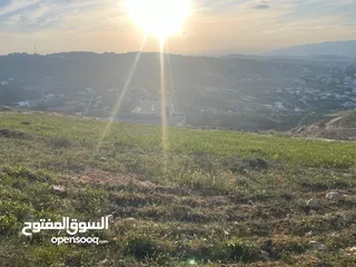  2 ارض الكمشة - استثمارية عالية و مطلة ( راس جبل)  قريب شارع الاردن 4 دونم إطلالة بانورامية مطلة