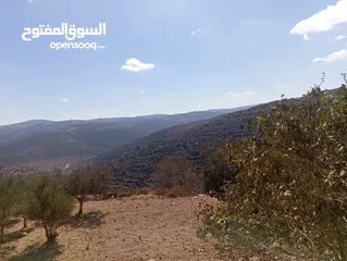  4 أرض مميزة للبيع
