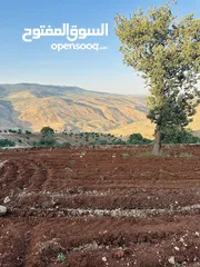  1 أرض مميزه _الصبيحي _ بيوضه الشماليه