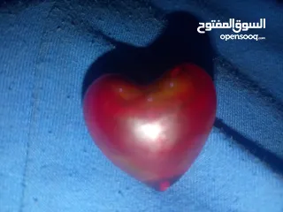  1 حجر كريم على شكل قلب