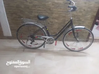  3 بسكاليت جيد سبق  27